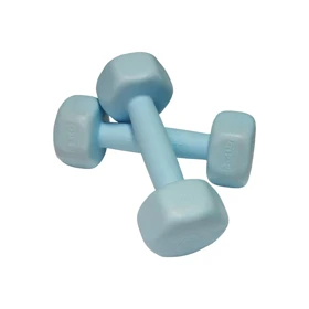 دمبل رادیس فیت مدل RPHF-1000 وزن 1 کیلوگرم بسته دو عددی