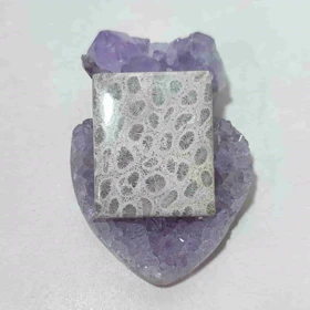 نگین مرجان فسیلی اصل کد 6