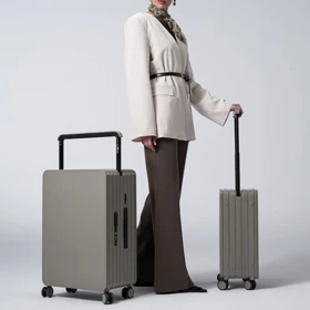 مجموعه 2 عددی چمدان رزمری مدل Rose Merry RL-601-2p-Gray