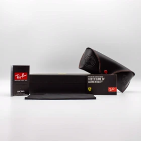 عینک آفتابی ری بن RayBan مدل 21209