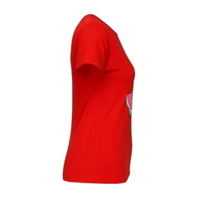 تیشرت آستین کوتاه زنانه مدل هندوانه کد PJ1263