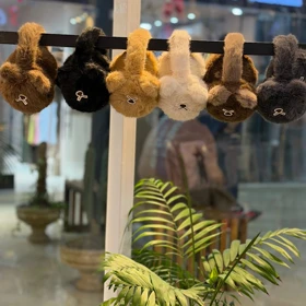 گوشگیر تاشو گربه