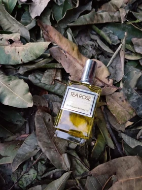 پرفیومرز ورکشاپ تی رزPERFUMER'S WORKSHOP - Tea Rose