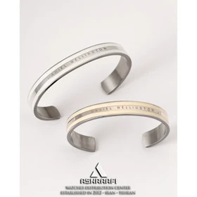 دستبند دنیل ولینگتون استیل Daniel Wellington Bracelet WS