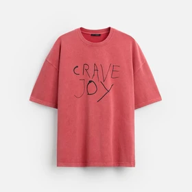 تی‌شرت zara