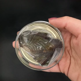 گردنبند مروارید عشق D19