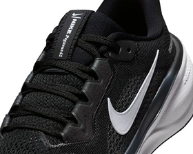 کفش دویدن جوانان Nike Pegasus 41 PC_FN5041-001