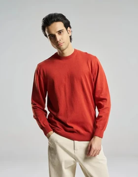 بیسیک یقه گرد