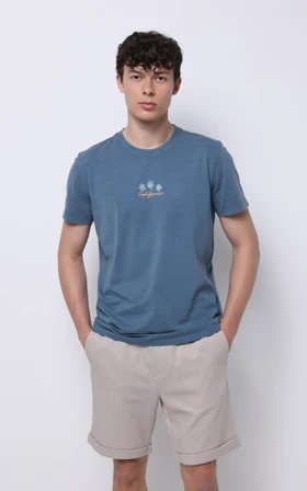 تیشرت مردانه Colin's