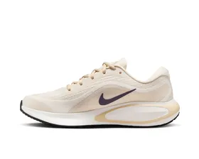 کفش دویدن Nike Journey Run PC_FJ7765-106