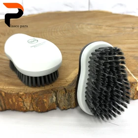 فرچه کوچک ستاره 1402