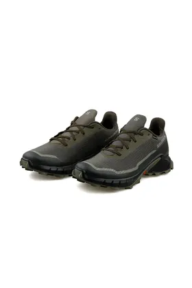 5 کفش دویدن مردانه Gtx L47310300