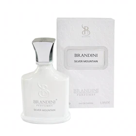 عطر ادکلن برندینی سیلور مونتین Brandini Silver Mountain حجم 33 میل