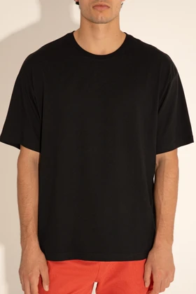 تیشرت مردانه u.s.-polo-assn.