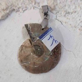 گردنبند آمونیت اصل کد (همراه با زنجیر استیل و بند چرمی)44