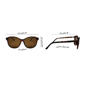 عینک آفتابی فلیکس گری