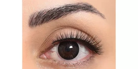 لنز رنگی سالانه فستیوال Festival Morning Q (مشکی)