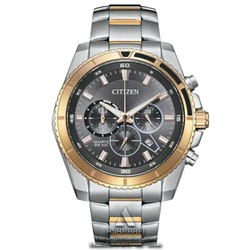ساعت مچی سیتیزن Citizen AN8204-59H