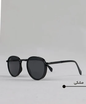 عینک آفتابی بیضی برند ری بن 8060