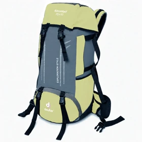 کوله پشتی کوهنوردی دیوتر کد DEUTER - DTR305 (بژ-کرم)
