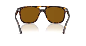 عینک آفتابی ریبن RayBan RB 2213