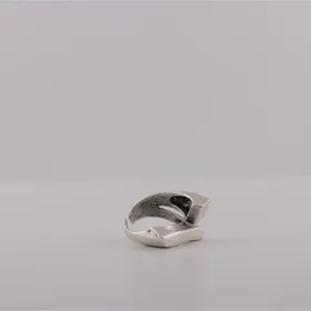 انگشتر نقطه خط