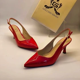 مجلسی پشت‌باز ظریف