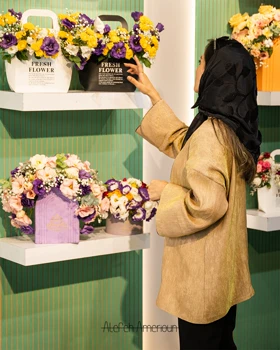 کت روشا