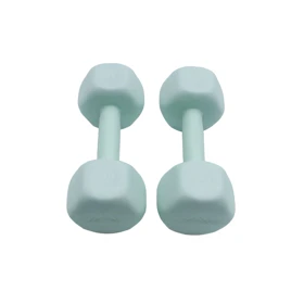 دمبل رادیس فیت مدل RPHF-2000P وزن 2 کیلوگرم بسته بندی دو عددی