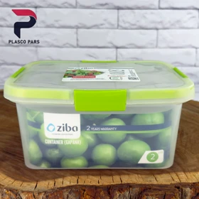 ظرف فریزری مستطیل 2 لیتر گاپانا زیبا