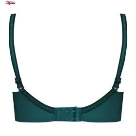 سوتین زنانه پانیذ مدل فنردار کله غازی کد 66370-07