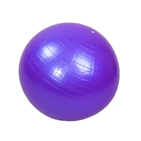 توپ پیلاتس و یوگا مدل Balance Ball تلمبه دار قطر 65 سانتی متر