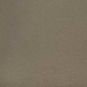 تیشرت اسلیم فیت کراپ زنانه - 15251756