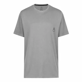 تیشرت ورزشی آستین کوتاه مردانه رادیس فیت مدل Dri-Fit Gray