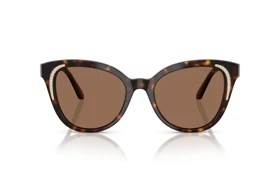 عینک آفتابی سواروسکی Swarovski SK 6031S (پلنگی)