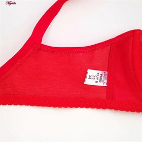 سوتین زنانه قرمز فنردار پانیذ کد 22200