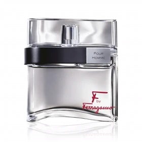 ادوتویلت مردانه سالواتور فراگامو مدل F By Ferragamo حجم 100ml