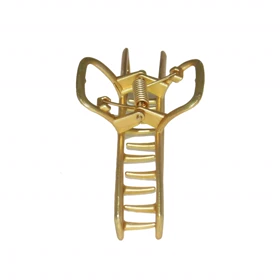 کلیپس مو زنانه مدل G_Lnd_150