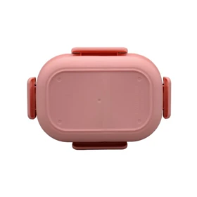 ظرف غذا لانچ باکس مدل Pittico ظرفیت 0.7 لیتر