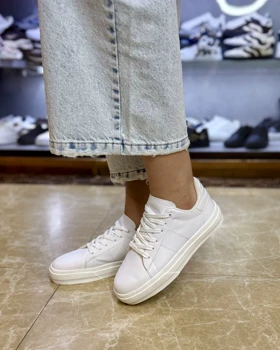 ونس بیسیک آلما sfz