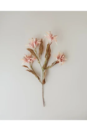 گل مصنوعی تک شاخه English Home مدل Bauhinia پلاستیکی - گلبهی روشن