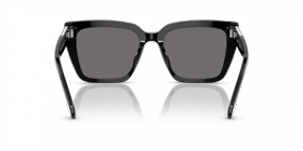 عینک آفتابی سواروسکی Swarovski SK 6013S Polarized