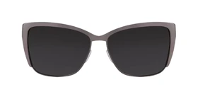 عینک آفتابی سانکروزر Sun Cruiser 2115 C4