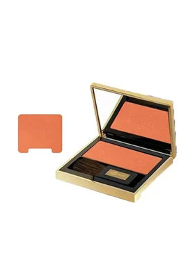 رژگونه شاین 31