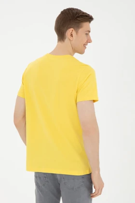 تیشرت مردانه اورجینال assn u.s.-polo-assn.