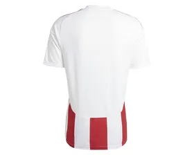 پیراهن فوتبال Adidas Striped 24 Jsy PC_IW2142
