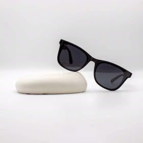 عینک آفتابی ری بن RayBan مدل 21209