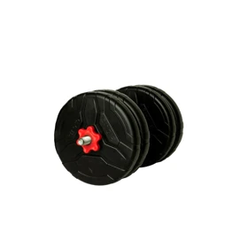 دمبل گرد قابل تنظیم وزن 10 کیلوگرم رادیس فیت مدل DVP10-2500 One Handle