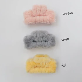 کلیپس تدی کد 1010