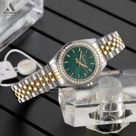 ساعت مچی فری لوک Freelook FL.1.10484-5